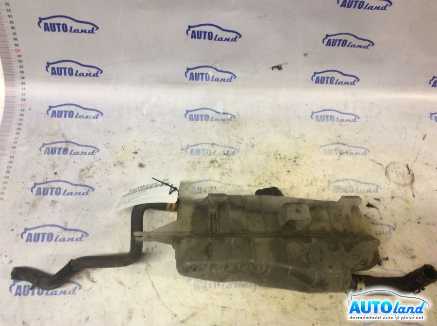Vas Expansiune RENAULT CLIO III (BR0/1,CR0/1) 2005-2025
