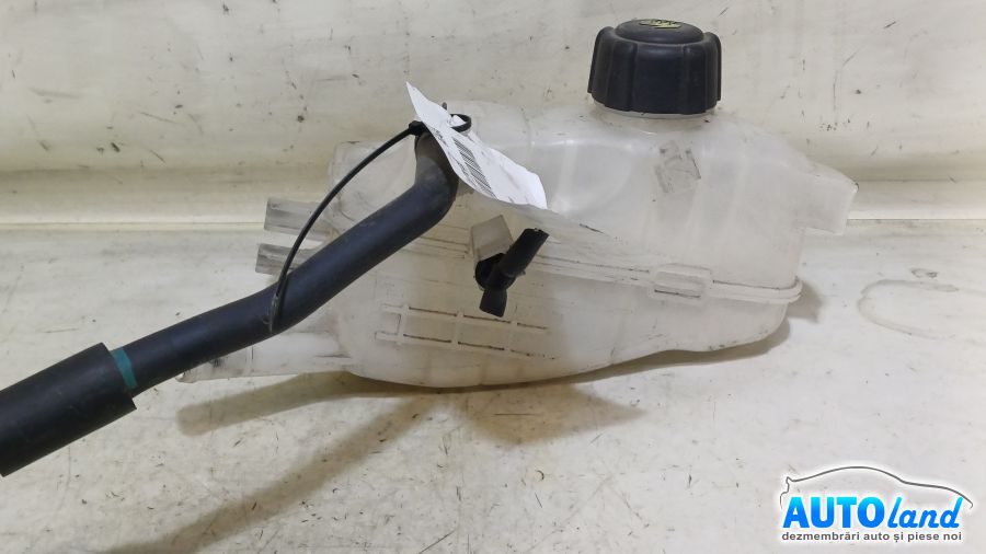 Vas Expansiune RENAULT MEGANE III Hatchback (BZ0/1_) 2008-2025 Cod 217100005R