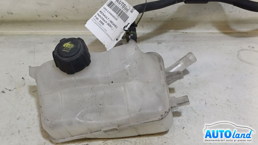 Vas Expansiune RENAULT MEGANE III Hatchback (BZ0/1_) 2008-2025 Cod 217100005R