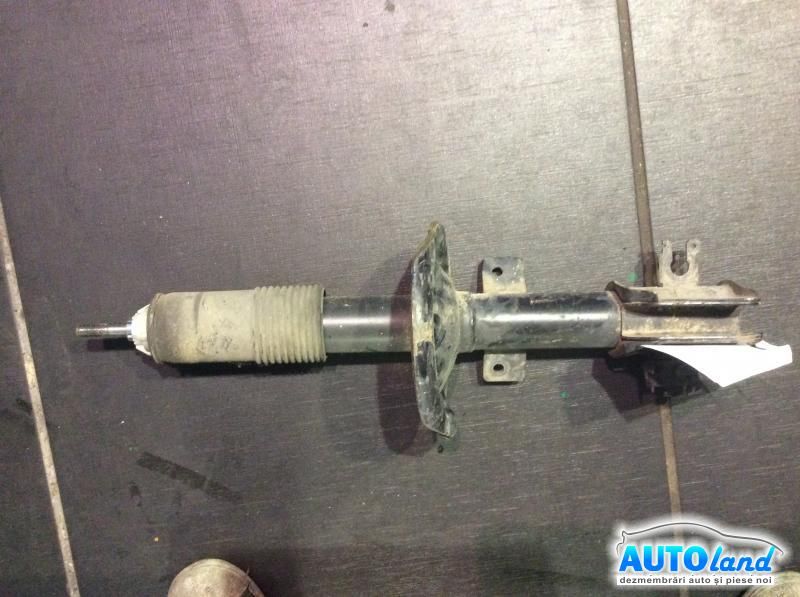 Amortizor fata (telescop) FIAT MULTIPLA (186) 1999-2025