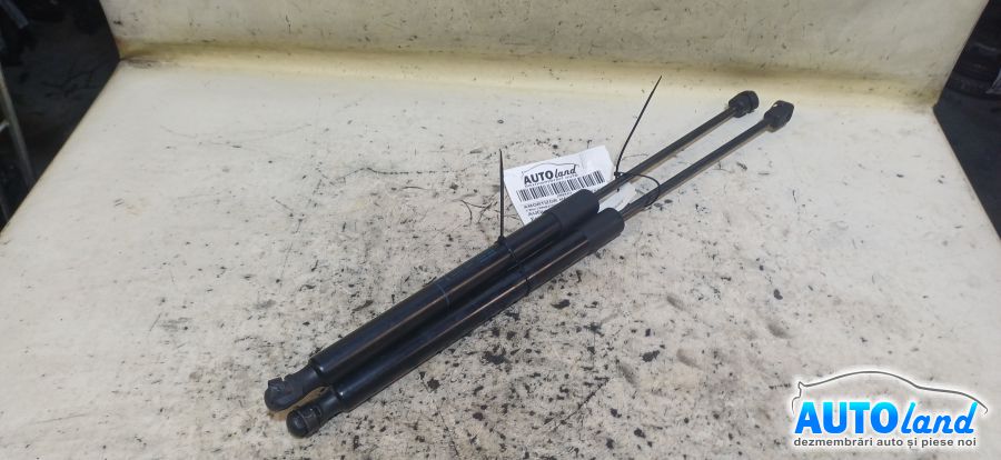Amortizor Haion (telescop)