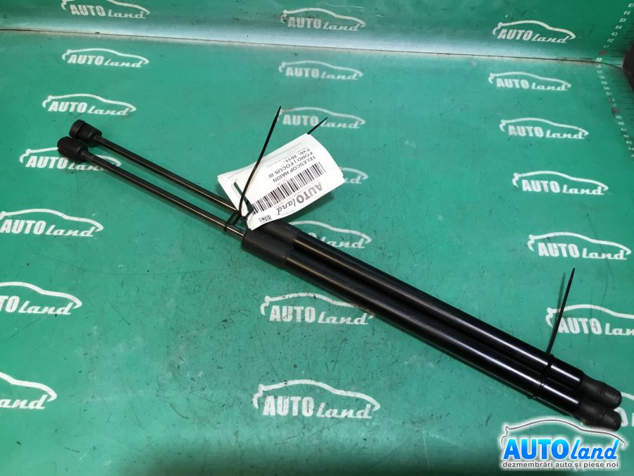 Amortizor haion (telescop) FORD FOCUS III 2011-2025
