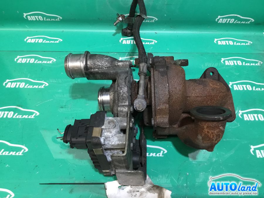 Amortizor spate (telescop) FORD FOCUS II (DA_) 2004-2008