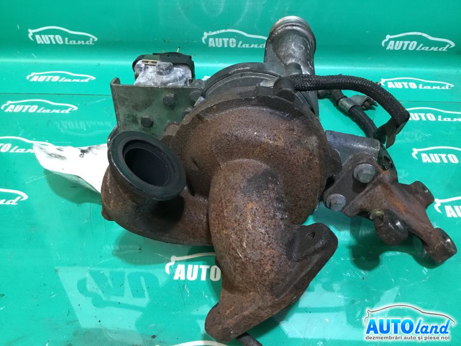 Amortizor spate (telescop) FORD FOCUS II (DA_) 2004-2008