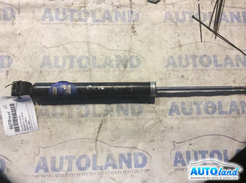 Amortizor spate (telescop) RENAULT CLIO III (BR0/1,CR0/1) 2005-2025