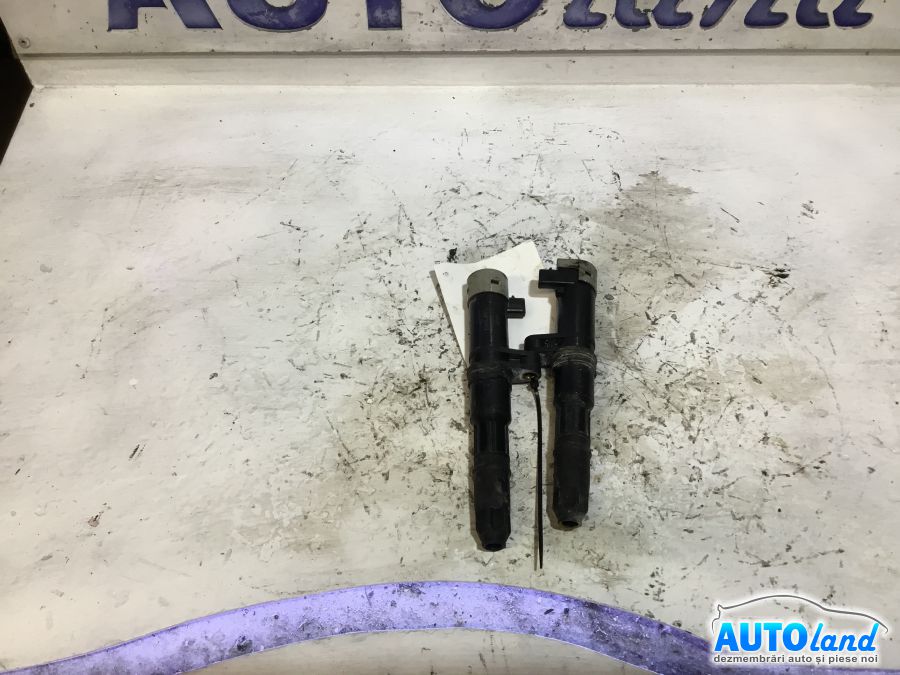 Bobina Inductie RENAULT VEL SATIS (BJ0_) 2002-2025