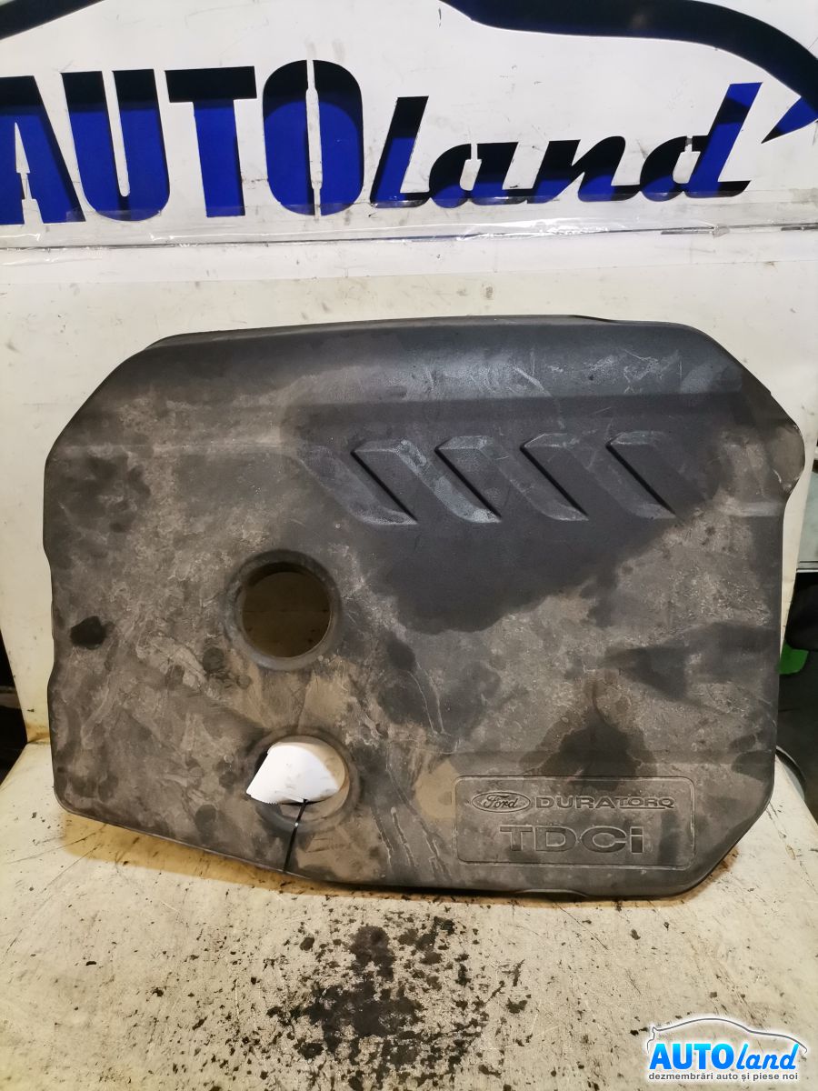 Capac Motor