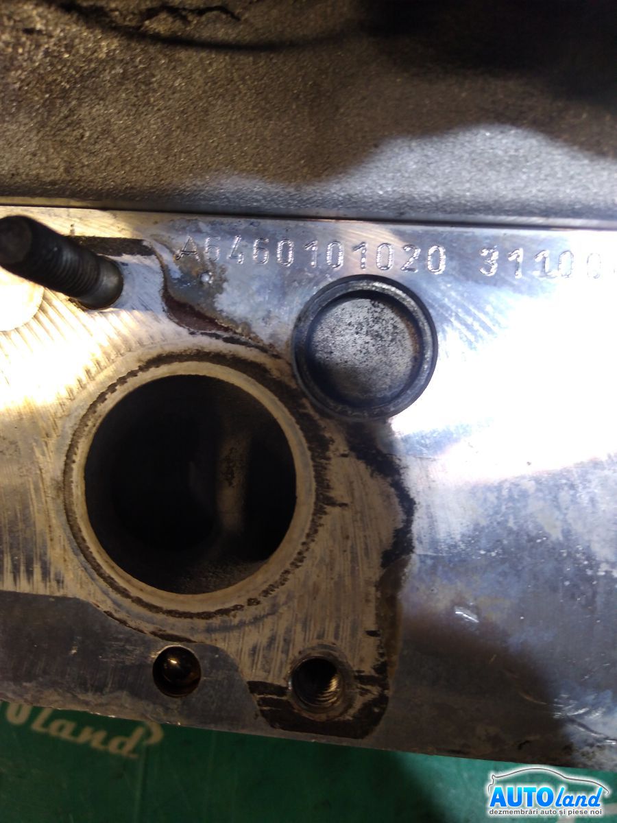 Chiulasa MERCEDES-BENZ VITO bus (W639) 2003-2025 Cod A6460101020 