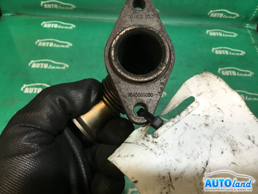 Diverse PEUGEOT 3008 2009-2025 Cod 9645689880 