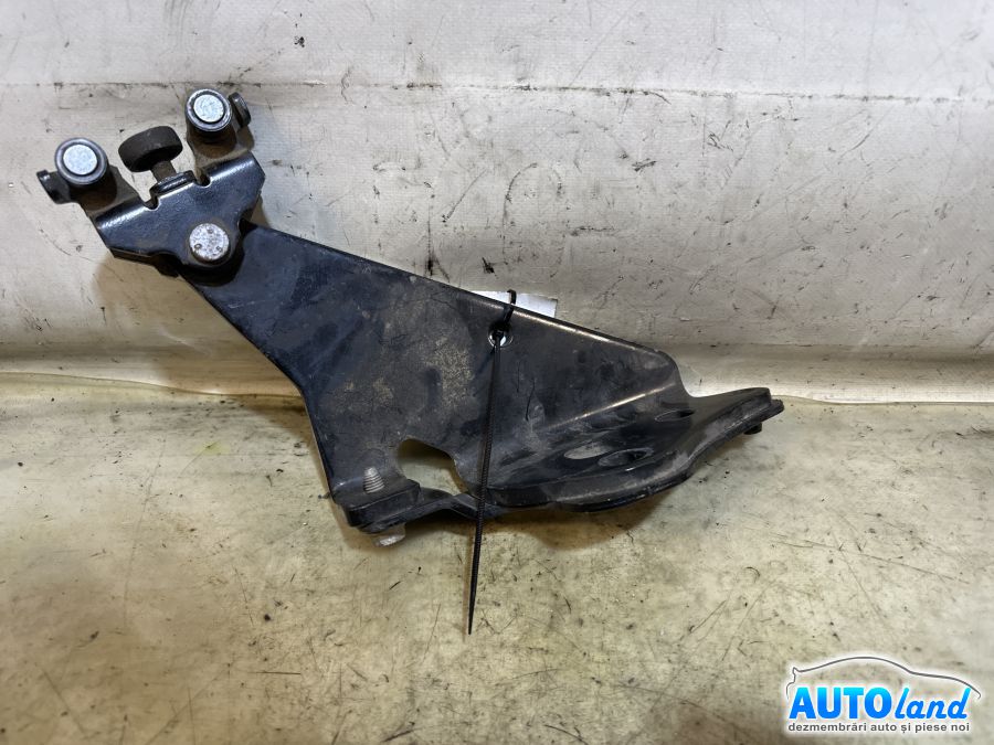 Diverse RENAULT KANGOO Express (FW0/1_) 2008-2025