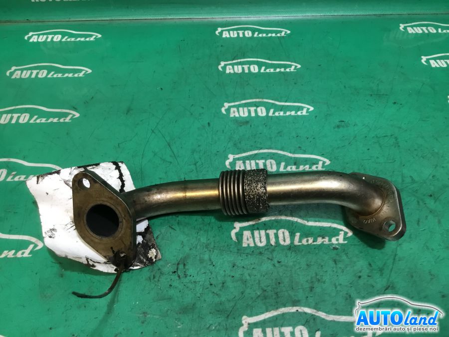 Diverse VOLKSWAGEN GOLF IV (1J1) 1997-2005 Cod 038131521AD 