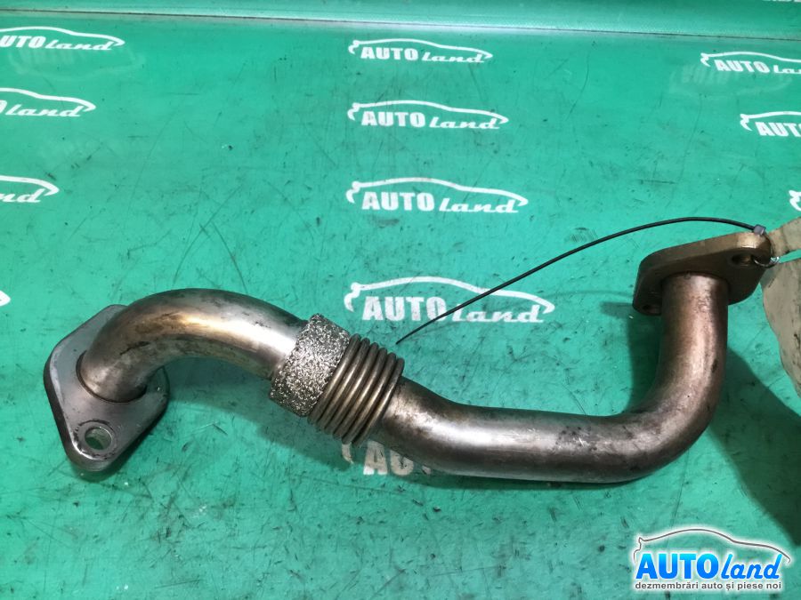 Diverse VOLKSWAGEN GOLF IV (1J1) 1997-2005 Cod 038131521S 