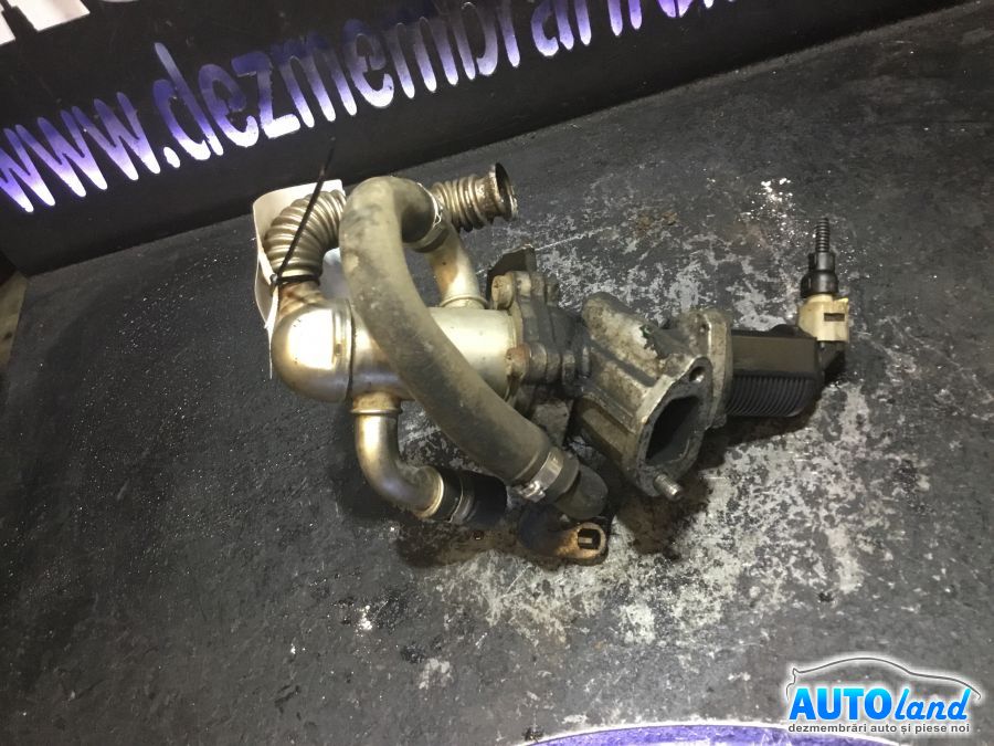 EGR FIAT DOBLO (119) 2001-2025 Cod 50024007 