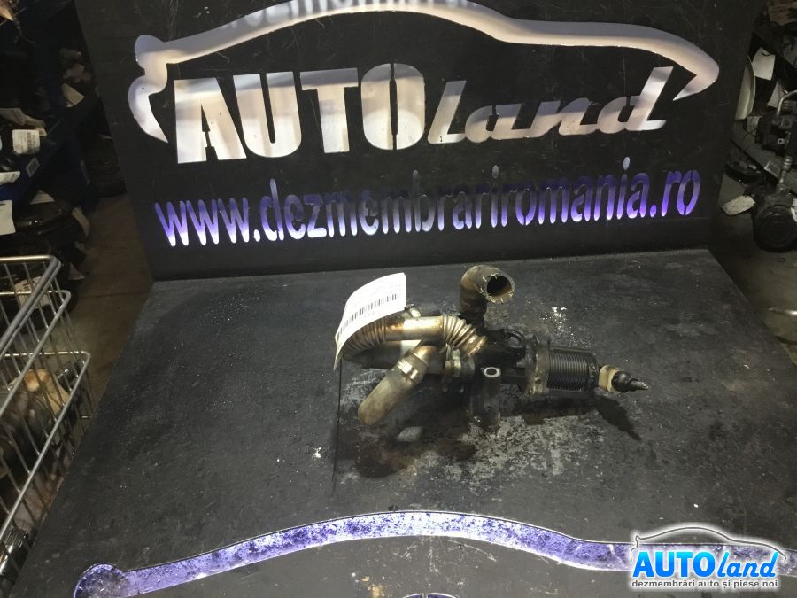 EGR FIAT DOBLO (119) 2001-2025 Cod 50024007 