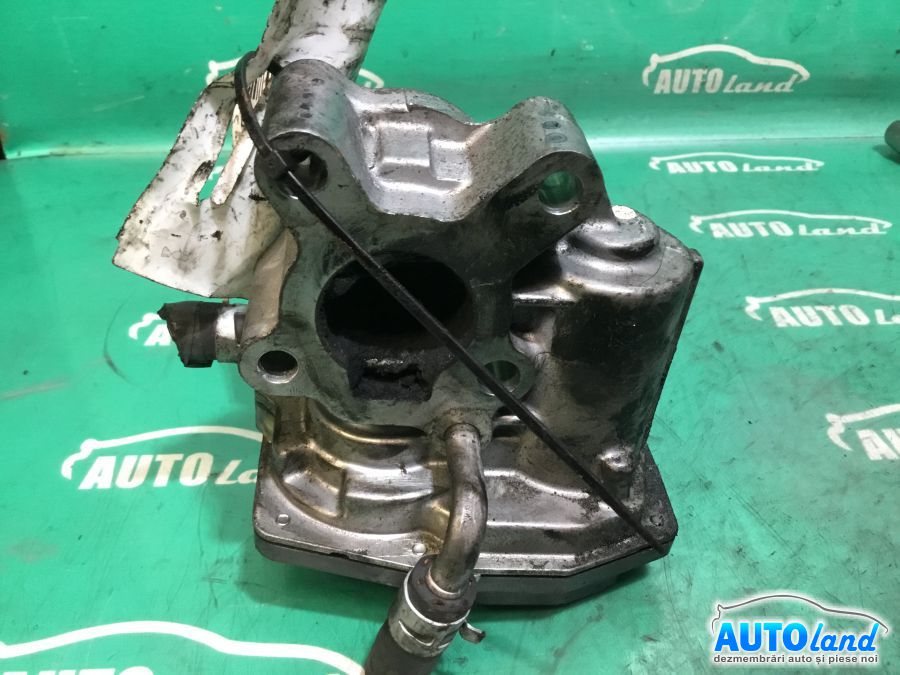 EGR TOYOTA VERSO S (NCP12_,NSP12_) 2010-2025 Cod 2580033011 