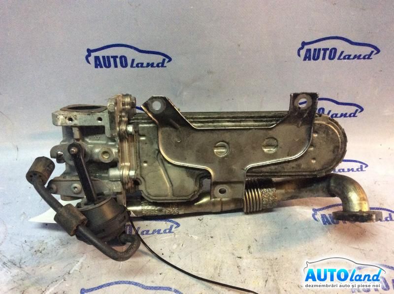 EGR VOLKSWAGEN TOURAN (1T1,1T2) 2003-2025 Cod 03G131063B 