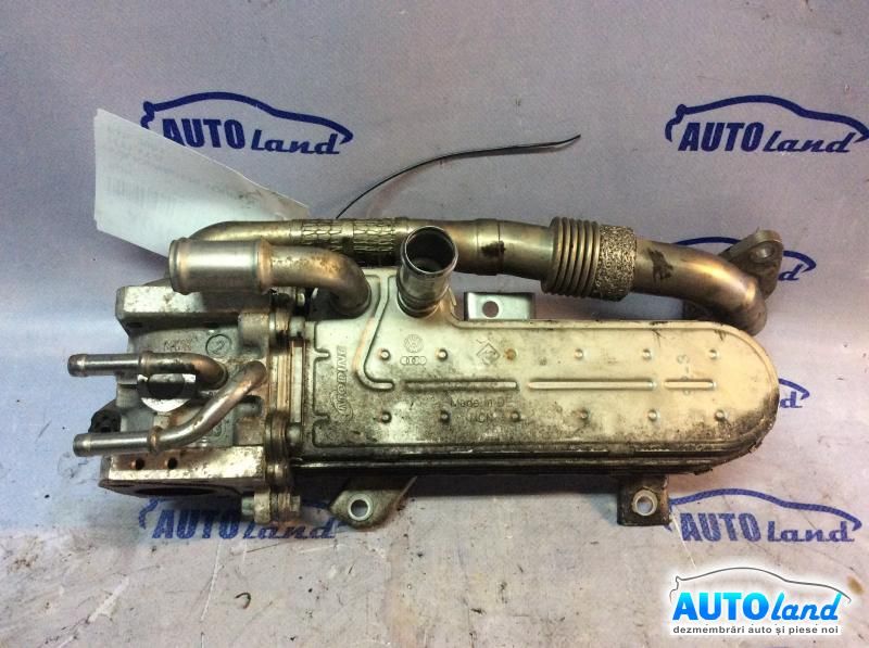 EGR VOLKSWAGEN TOURAN (1T1,1T2) 2003-2025 Cod 03G131063B 