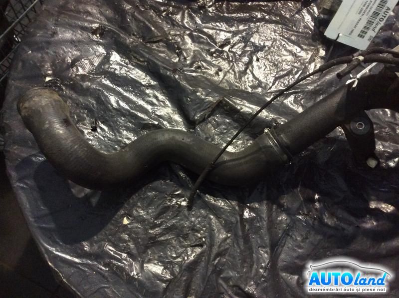 Furtun Intercooler Turbo VOLKSWAGEN GOLF IV (1J1) 1997-2005 Cod 8D01458401 