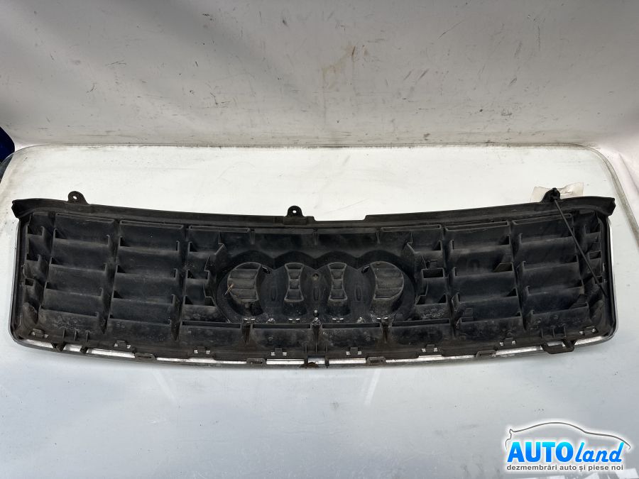 Grila Intre Faruri AUDI A4 Cabriolet (8H7,8HE) 2002-2009