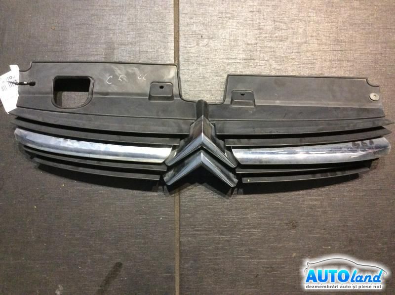 Grila Intre Faruri CITROEN C5 (DC_) 2001-2004