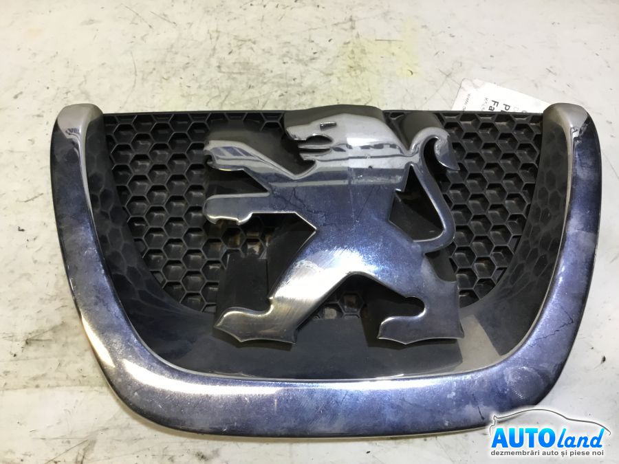 Grila Intre Faruri PEUGEOT 207 SW (WK_) 2007-2025
