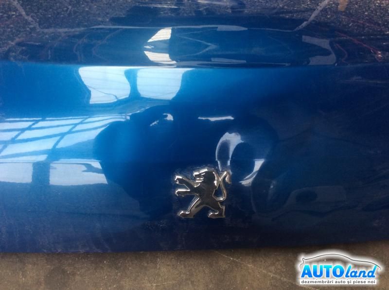 Haion/Portbagaj PEUGEOT 607 (9D,9U) 2000-2025