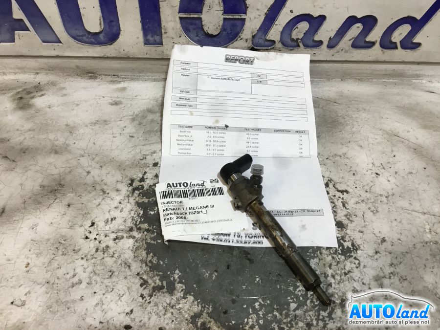 Injector RENAULT MEGANE III Hatchback (BZ0/1_) 2008-2026 Cod 8200294788 