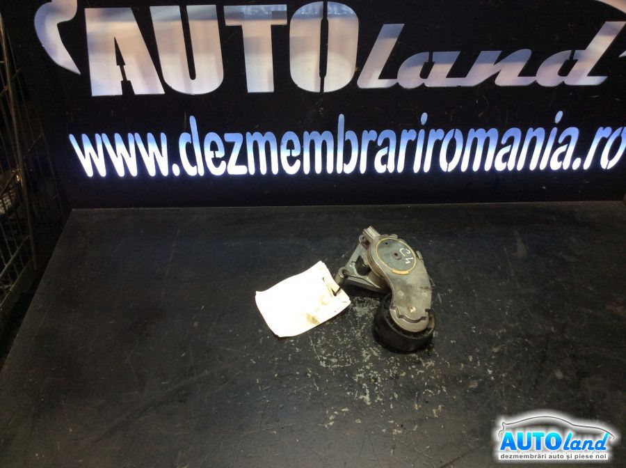 Intinzator Curea Alternator CITROEN C4 (B7) 2009-2025