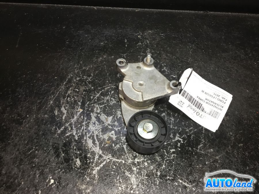 Intinzator Curea Alternator