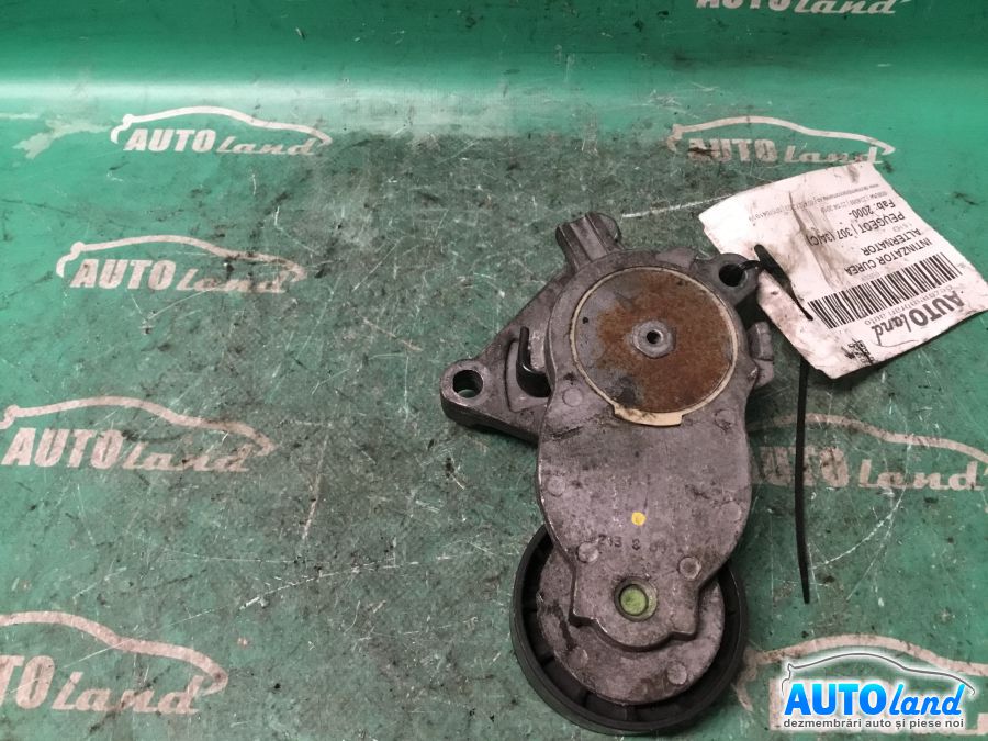 Intinzator Curea Alternator PEUGEOT 307 (3A/C) 2000-2025 Cod 825809 