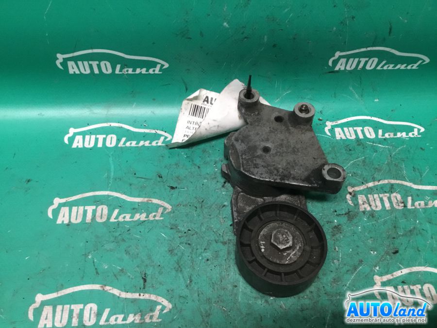 Intinzator Curea Alternator PEUGEOT 307 (3A/C) 2000-2025