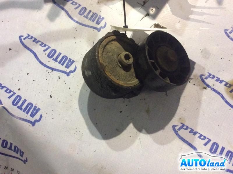 Intinzator Curea Alternator PEUGEOT 406 (8B) 1995-2004