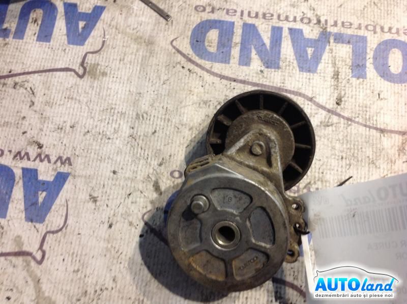 Intinzator Curea Alternator PEUGEOT 406 (8B) 1995-2004