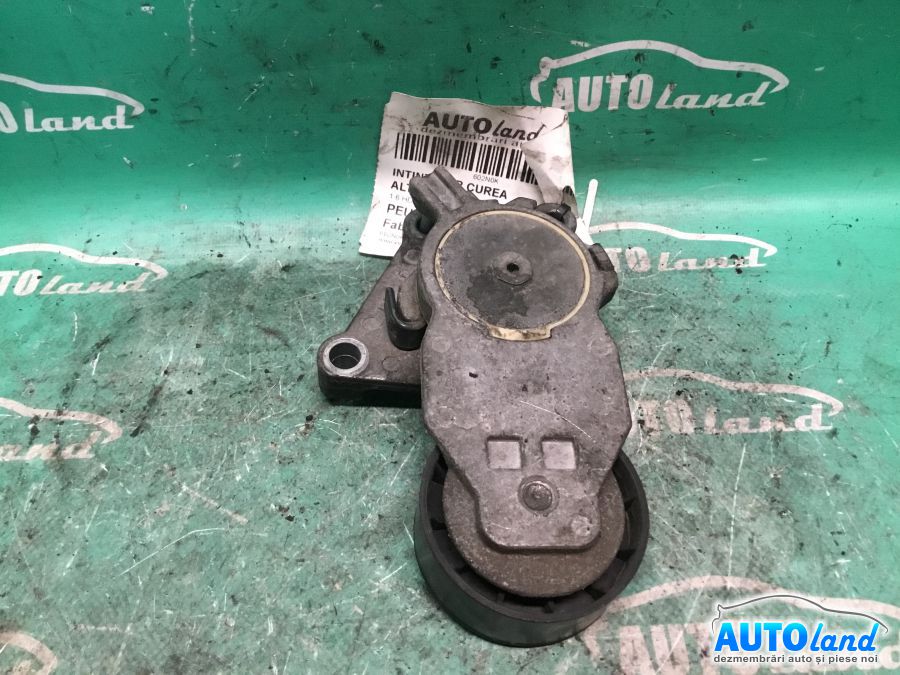 Intinzator Curea Alternator PEUGEOT 407 (6D_) 2004-2026