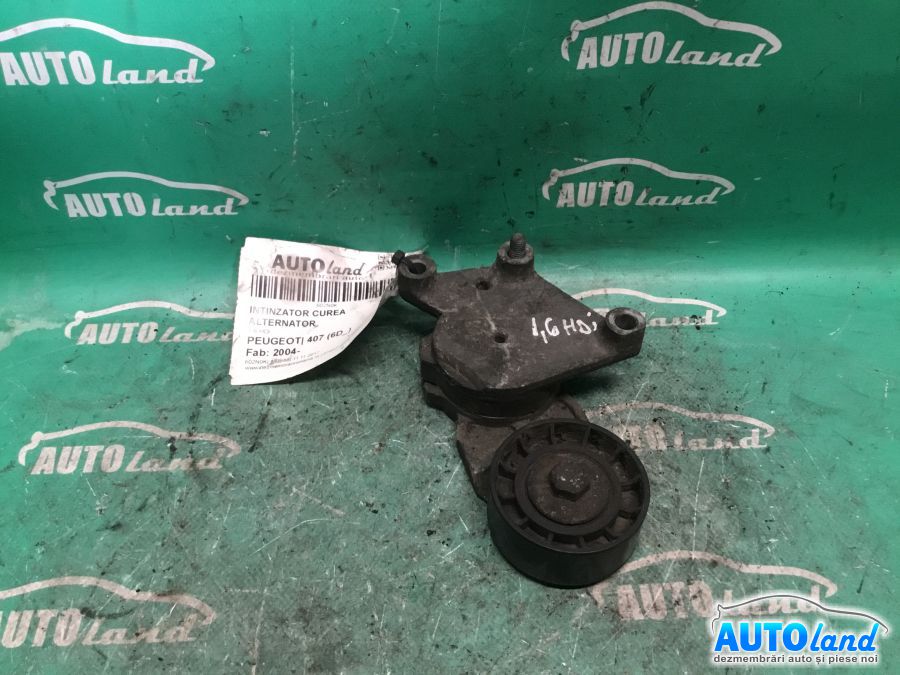 Intinzator Curea Alternator PEUGEOT 407 (6D_) 2004-2026