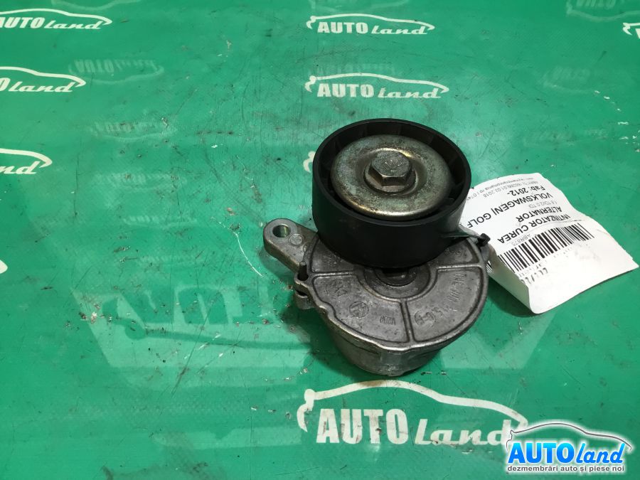 Intinzator Curea Alternator