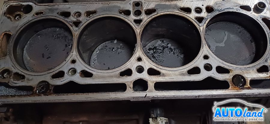 Motor Benzina
