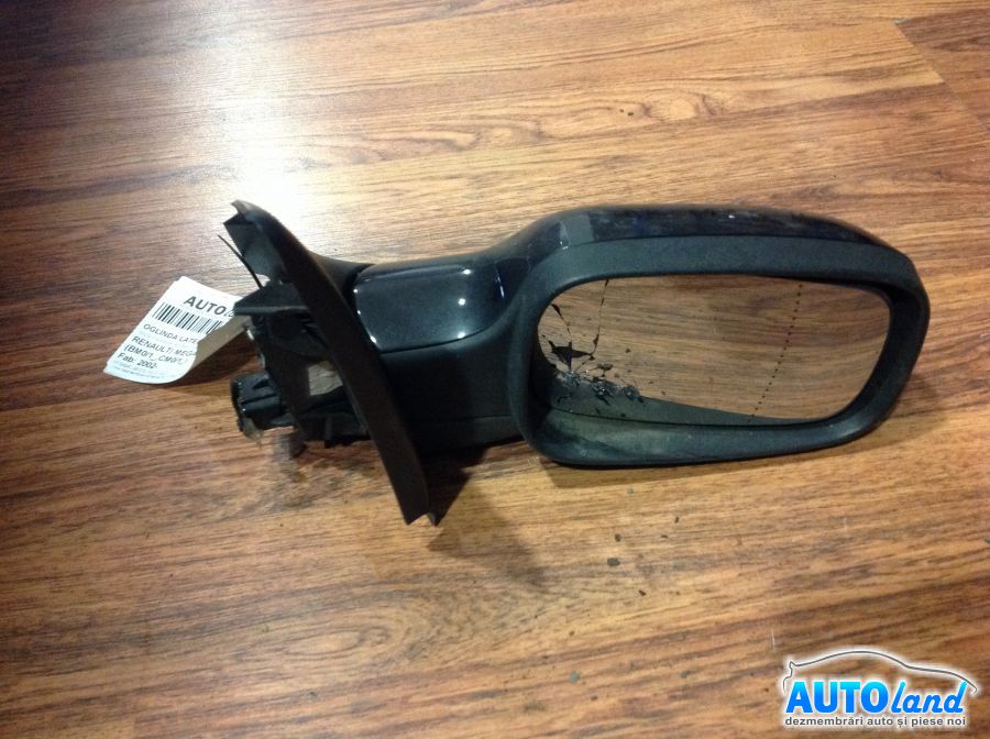 Oglinda Dreapta RENAULT MEGANE II (BM0/1_,CM0/1_) 2002-2025