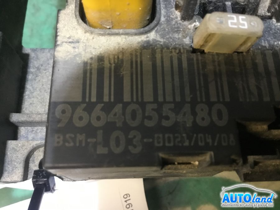 Panou sigurante (tablou) PEUGEOT 206 hatchback (2A/C) 1998-2026 Cod 9664055480 