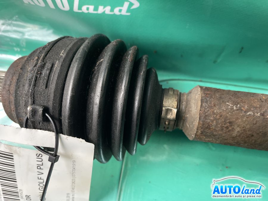 Planetara Dreapta VOLKSWAGEN GOLF V PLUS (5M1) 2005-2025
