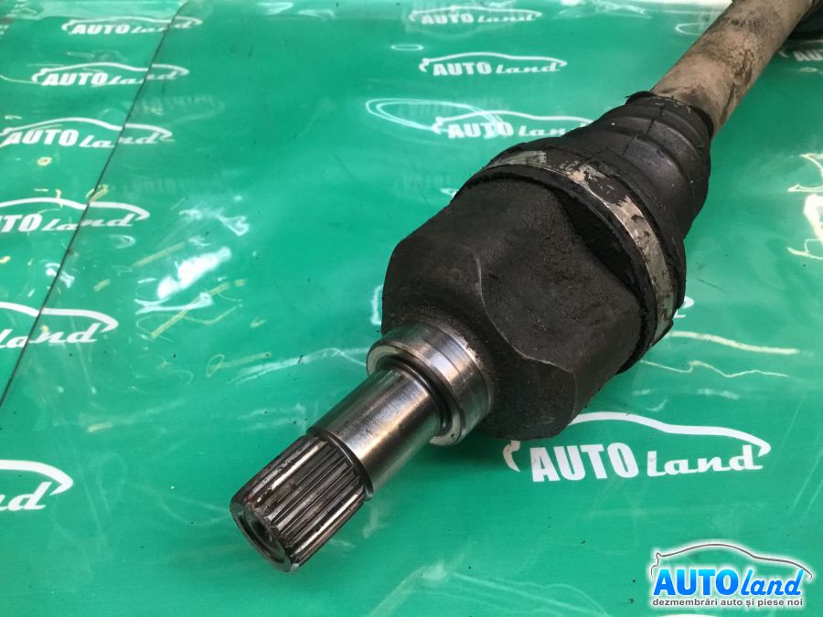 Planetara Stanga CITROEN C4 (LC_) 2004-2025