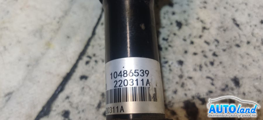 Planetara Stanga MG NEIDENTIFICAT 2000-2026 Cod 10486539 