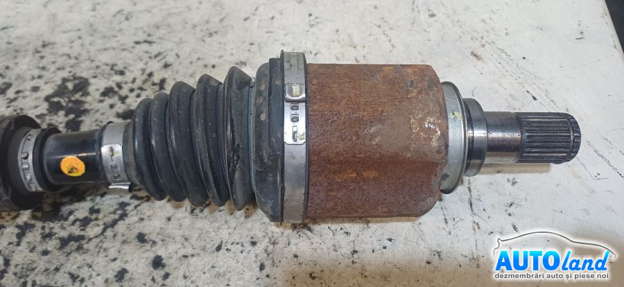 Planetara Stanga MG NEIDENTIFICAT 2000-2026 Cod 10486539 