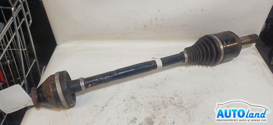 Planetara Stanga NEIDENTIFICAT NEIDENTIFICAT 2000-2026 Cod 10341053 