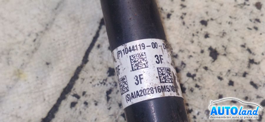 Planetara Stanga NEIDENTIFICAT NEIDENTIFICAT 2000-2026 Cod 104411900D 
