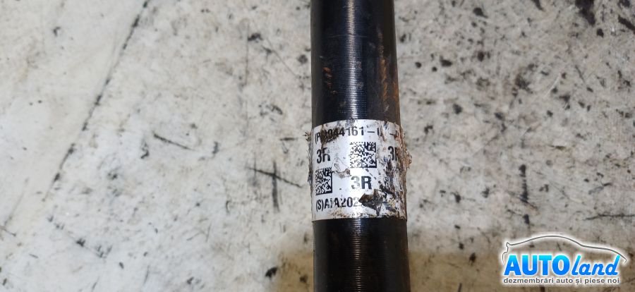 Planetara Stanga NEIDENTIFICAT NEIDENTIFICAT 2000-2026 Cod 1044161000 