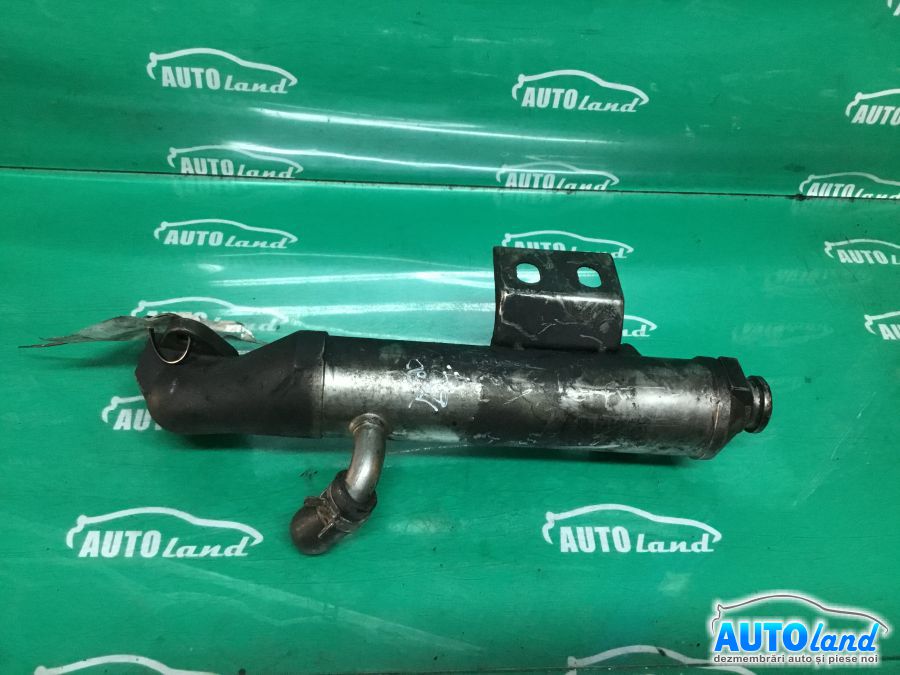 Racitor EGR FORD FOCUS (DAW,DBW) 1998-2001