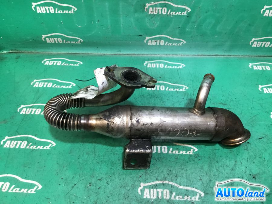 Racitor EGR FORD FOCUS (DAW,DBW) 1998-2001
