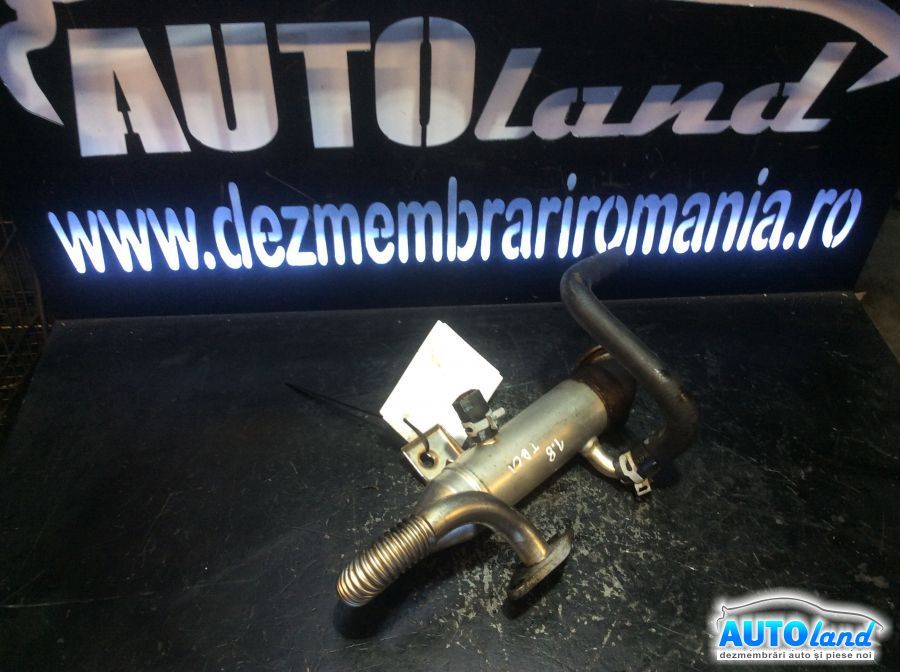 Racitor EGR FORD FOCUS (DAW,DBW) 2001-2007