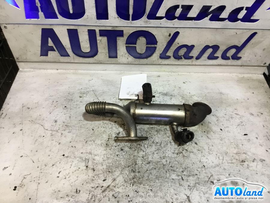 Racitor EGR FORD TRANSIT CONNECT (P65_,P70_,P80_) 2002-2025